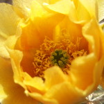 20140430_180023
